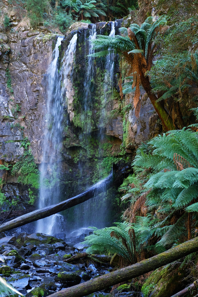 Hopetoun Falls, Great Otway National Park, Victoria, Austr… Flickr