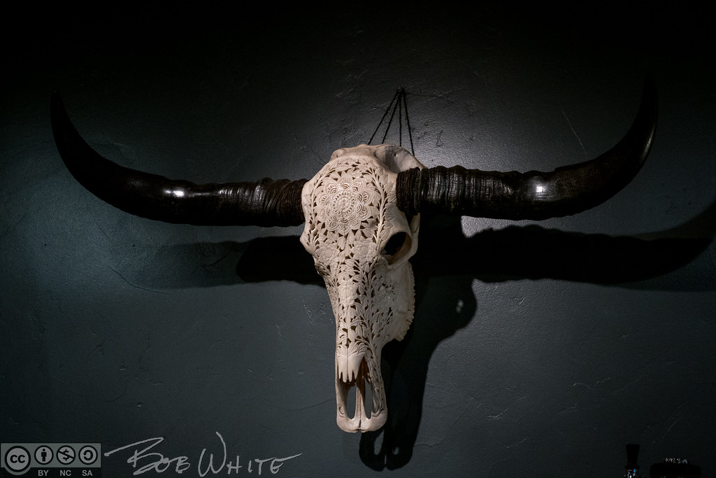 Skull art Carved skull on the wall of a shop in downtown G… Flickr