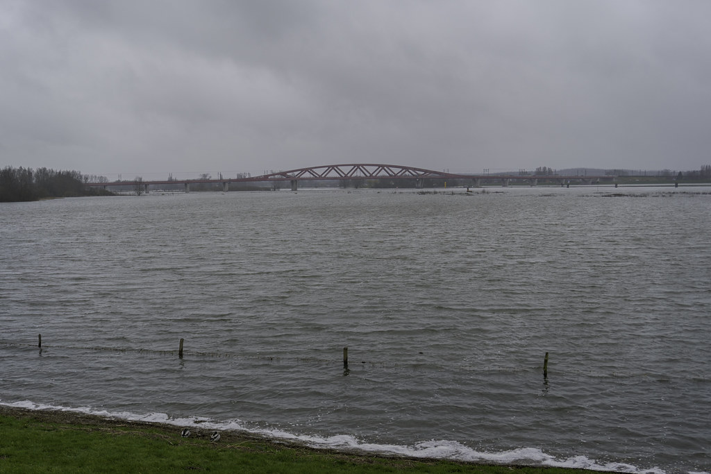 Hoog water in Zwolle Hans Splinter Flickr