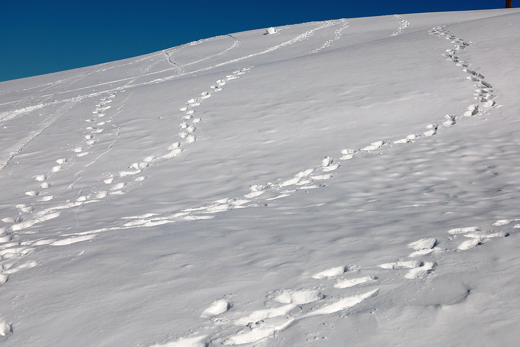Mooney's Bay, Ottawa Boris Gontar Flickr