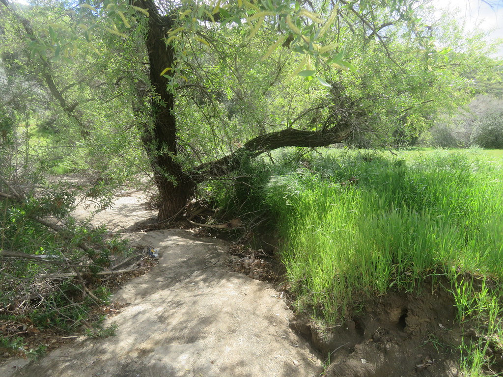 Swartz Canyon Creek (dry) Should have some water in it lat… Flickr