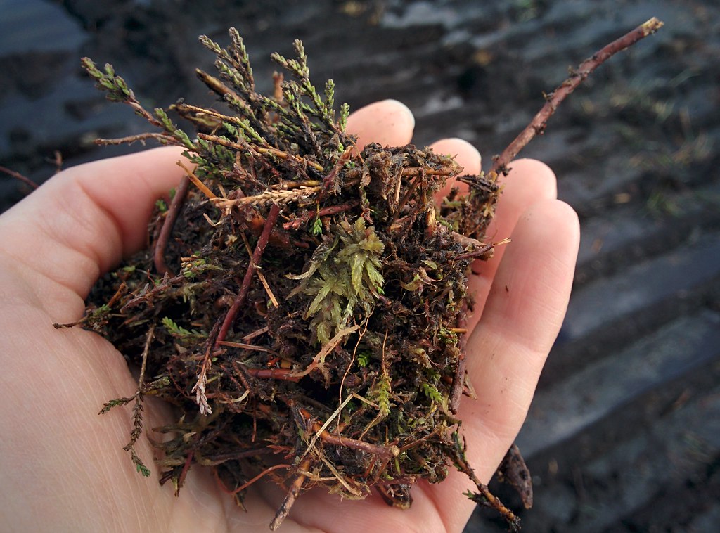 Cumbria BogLIFE Bolton Fell Moss peat extraction site (Bar… Flickr