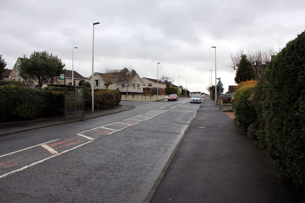 Burghmuir.Perth. Cedar drive. boneytongue Flickr