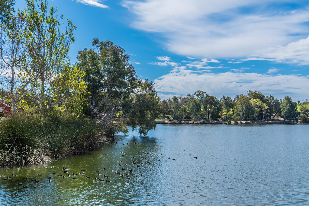 Lake Huntington March 7, 2020 Lake Huntington at Hunting… Flickr