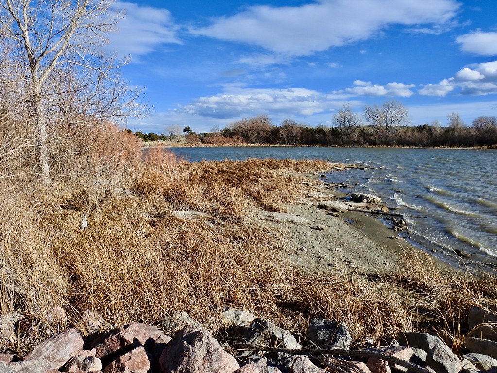Lathrop State Park Habitat shot for eBird list Van Remsen Flickr
