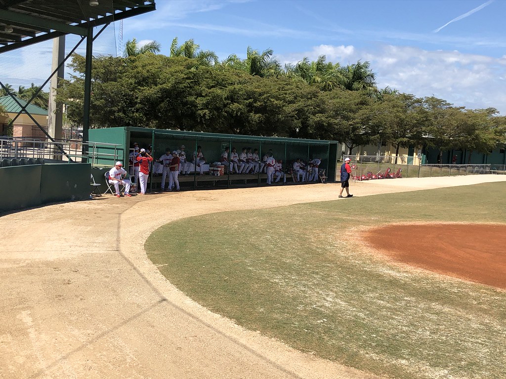 Terry Park In The Ballparks