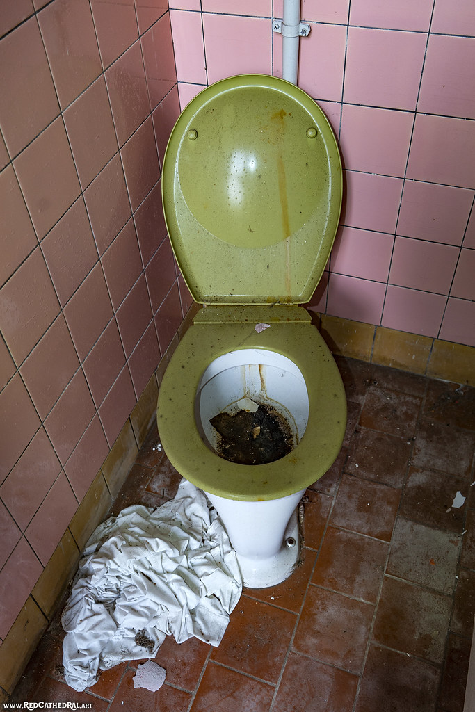 Flickriver Most interesting photos from Worlds Most Dirty Toilet