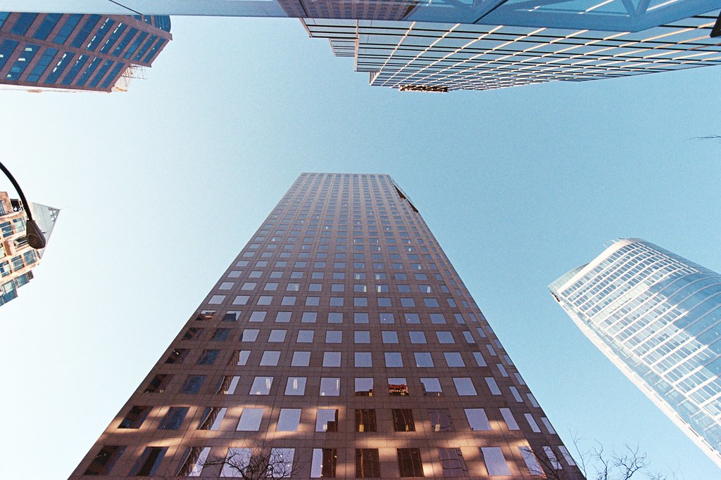 Cream rises to the top Canon EOS Rebel S II Canon EF 1740… Flickr