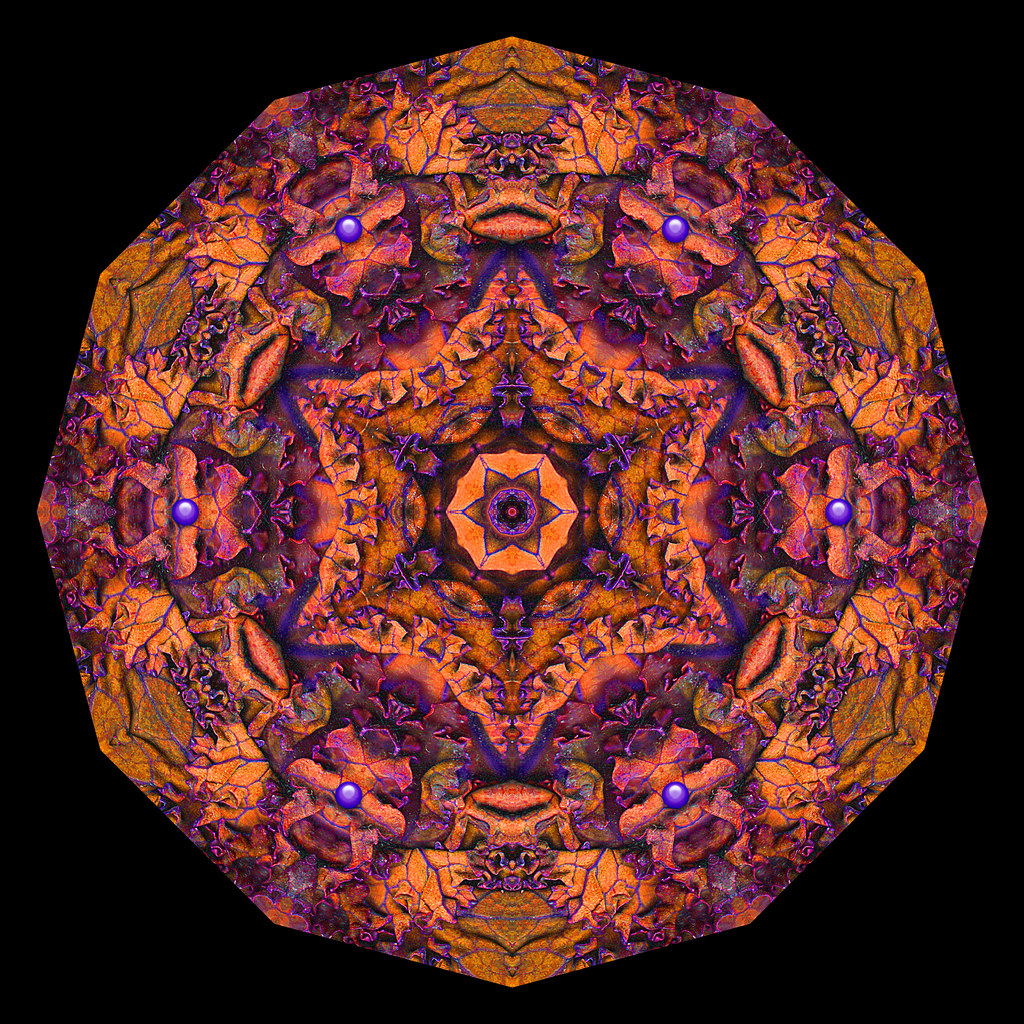 Red Kale 1B Kaleidoscope Make your own kaleidoscopes! Digi… Flickr