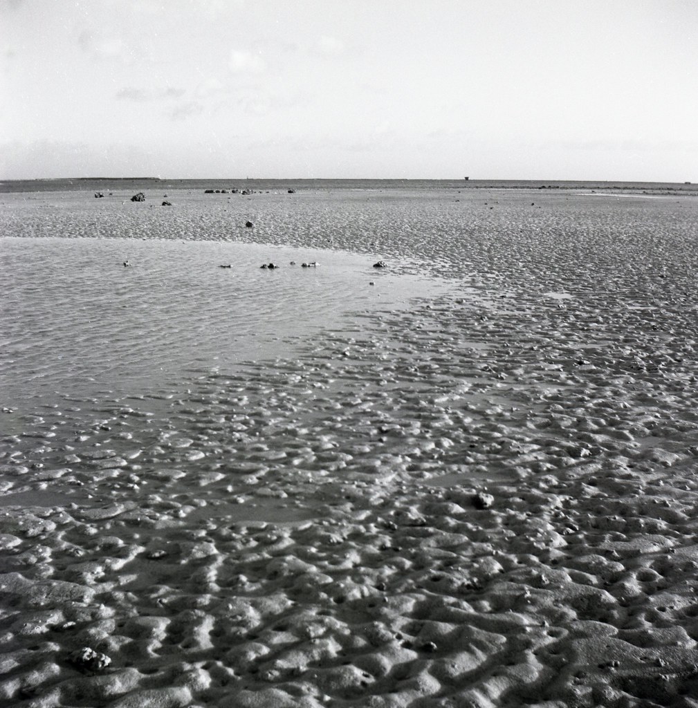 Low Tide on the Salt Flats. 3EyedMonster Flickr