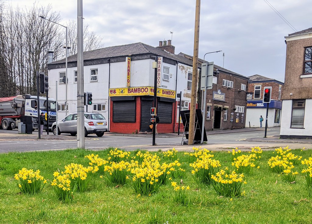 Spring flowers at Plungington, Preston Tony Worrall Photography Flickr