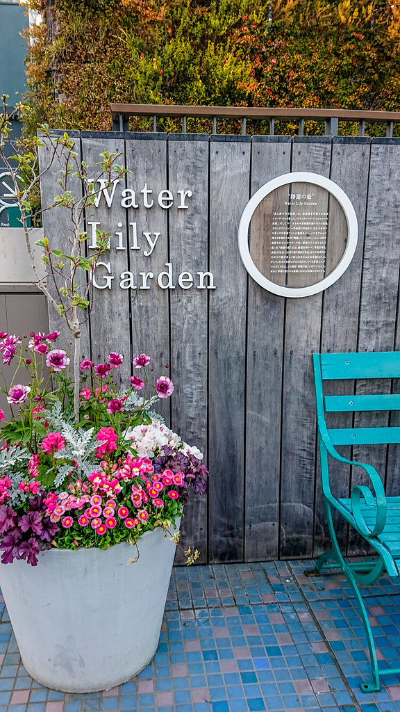 The One about the Seibu Roof Garden in Ikebukuro Dennis A. Amith