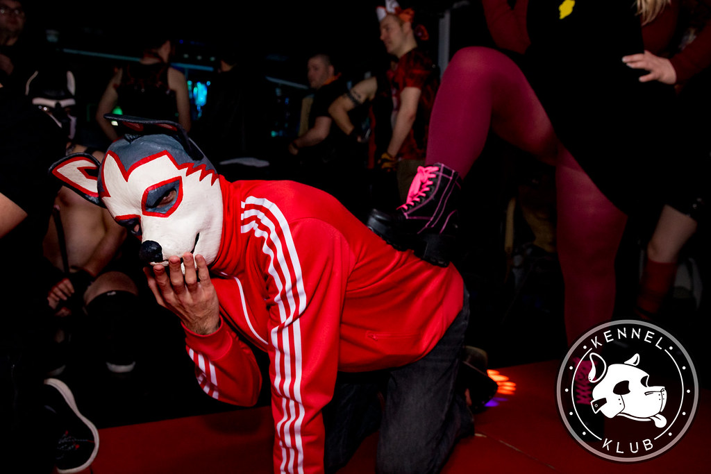 IMG_6512 Kennel Klub Flickr