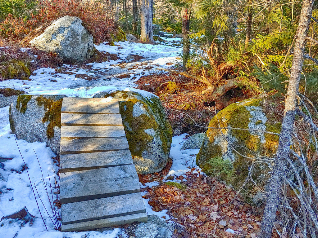 McIntosh Run Singletrack Trails For a detailed trail guide… Flickr