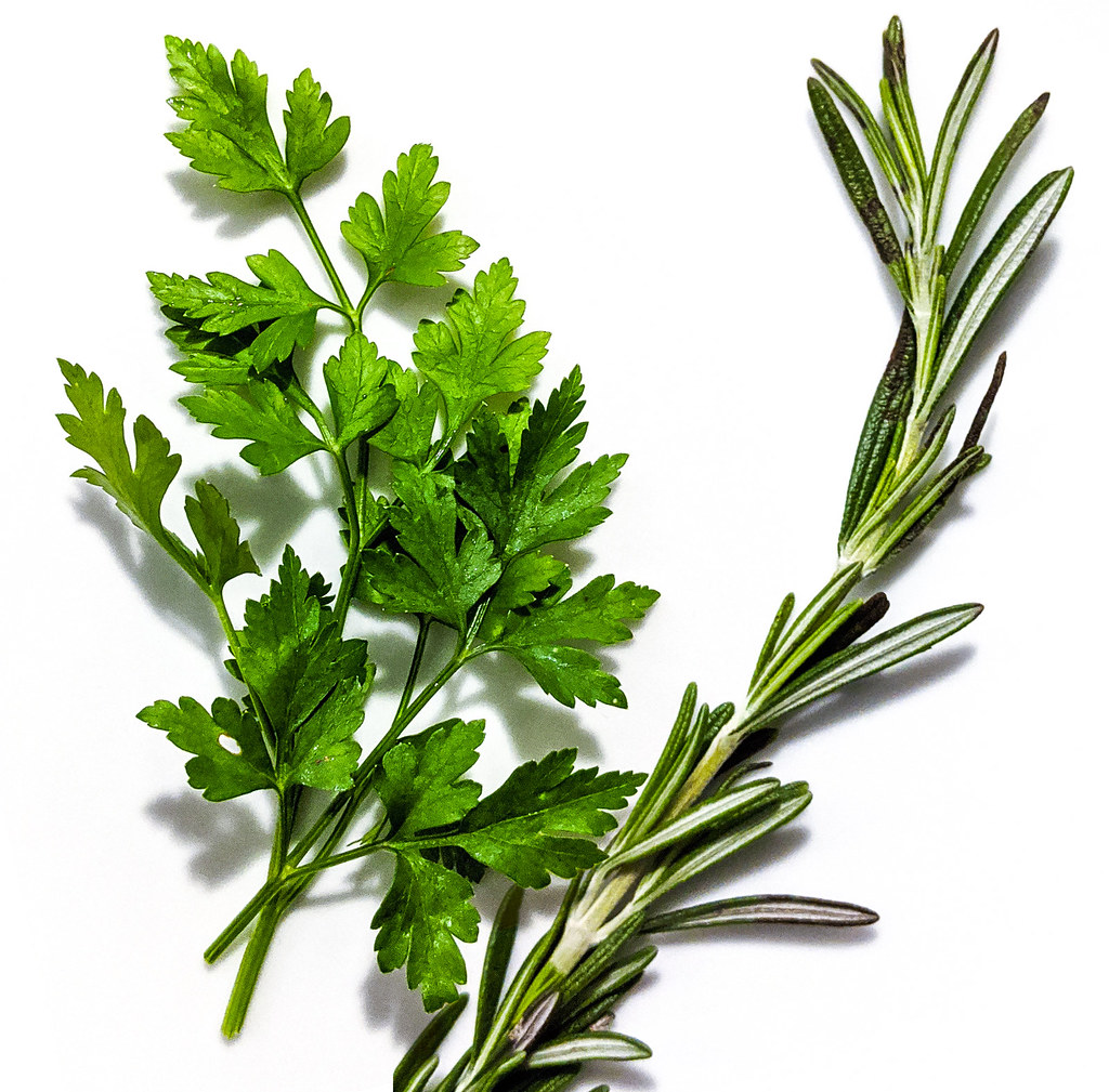 Parsley Rosemary a photo on Flickriver