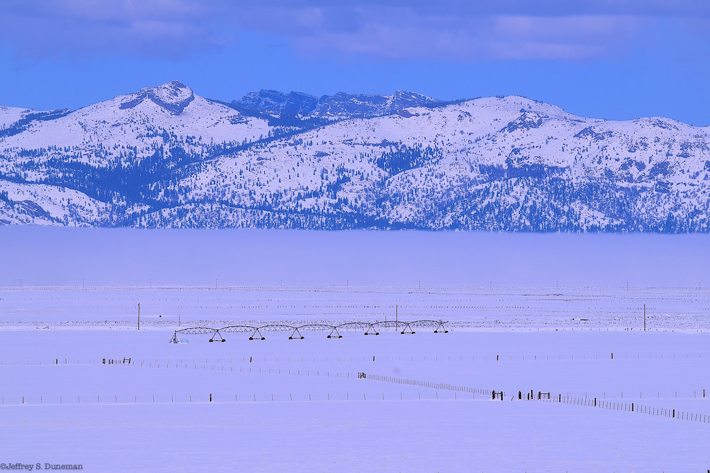 The Sierra Valley Snowpocalypse March 2020 Jeff Duneman Flickr