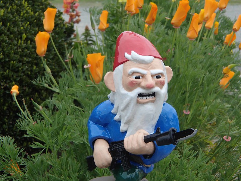 When My Brain Leaks, the Drops Drip Here. New Combat Garden Gnomes