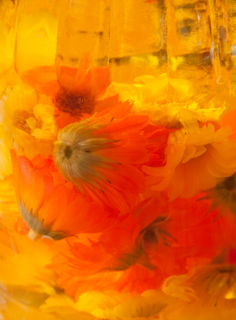 Flower Dream II Flower Dream II PB Foto Flickr