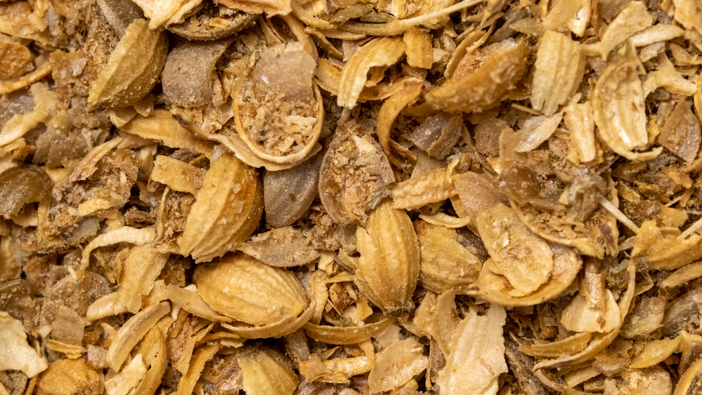 Coriander (Dhaniya) Coriander, Indian Food, Indian cuisine… Flickr