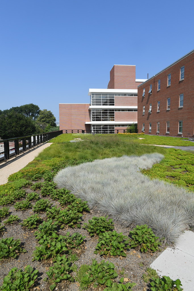 OSU,CFAES,Roof Top Garden,HCS,Howlett Hall, OSU, CFAES, Ro… Flickr