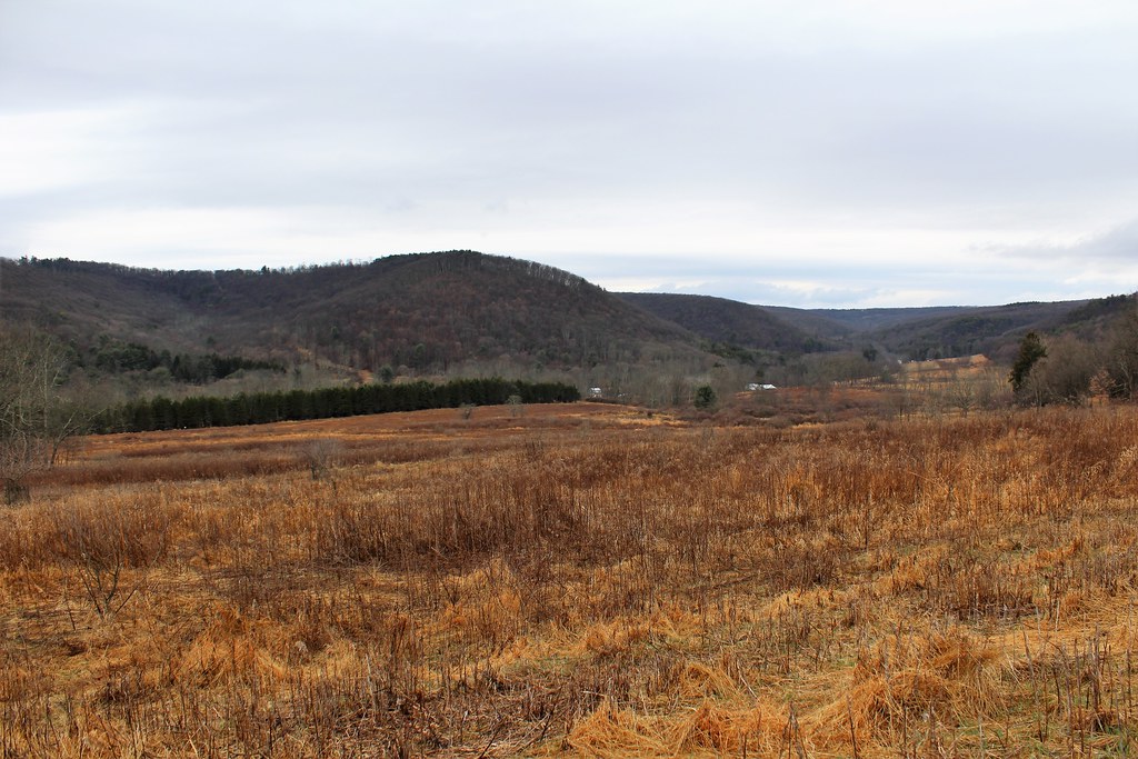 Spruce Valley PA Photo of Spruce Valley in central Pennsyl… Flickr