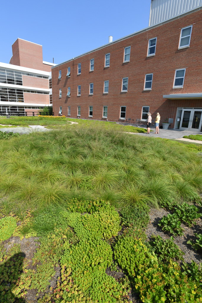 OSU,CFAES,Roof Top Garden,HCS,Howlett Hall, OSU, CFAES, Ro… Flickr
