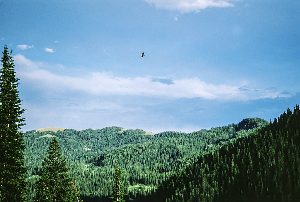 North Fork Horse Creek in Wyoming Range mountains. Flickr