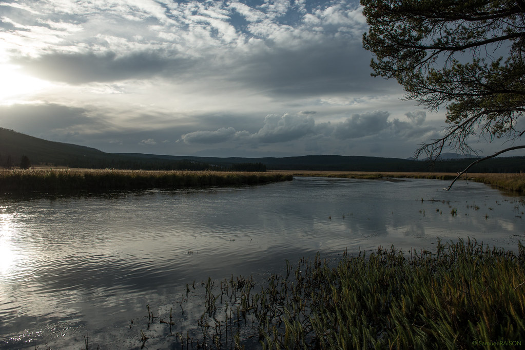 Gibbon Meadows Yellowstone Samuel Raison Flickr