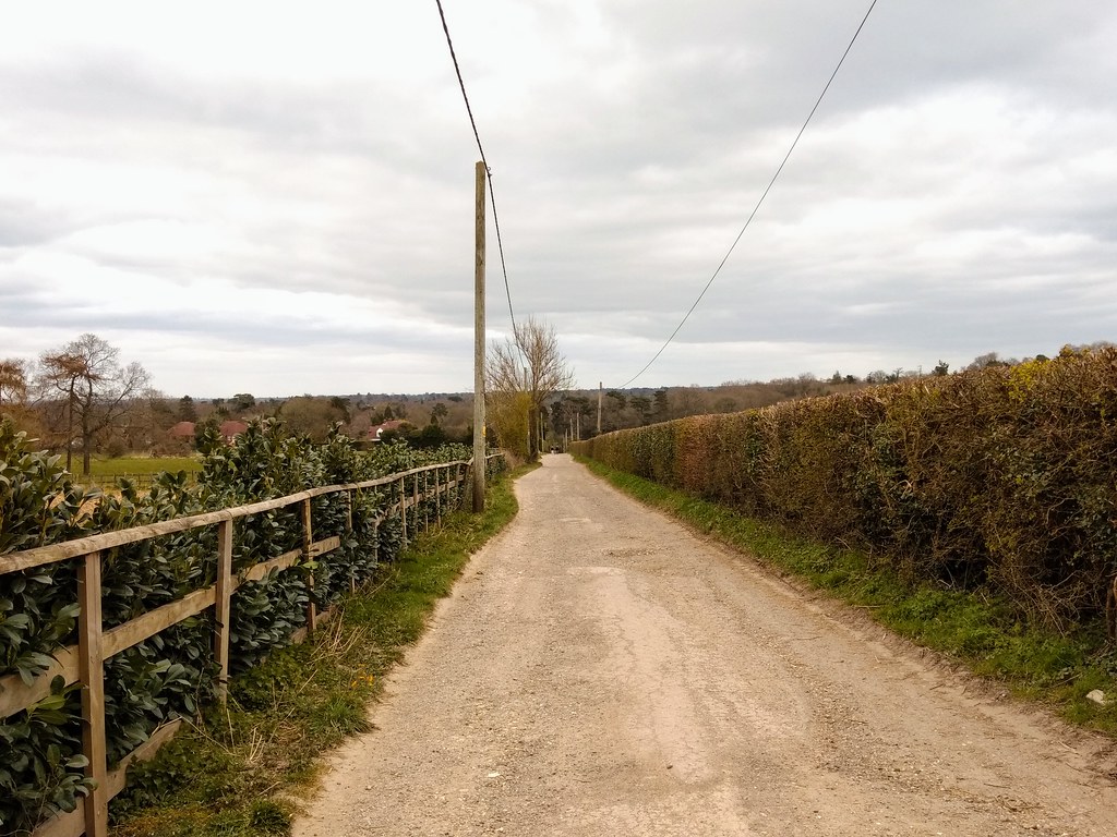 Hilltop Lane Daily Exercise around the hilltops of Chaldon… Flickr