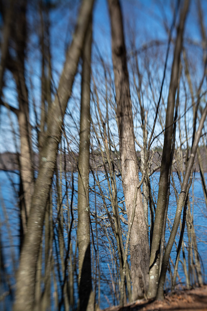 Flints Pond Hollis Nh Fishing at Lorraine Martinez blog