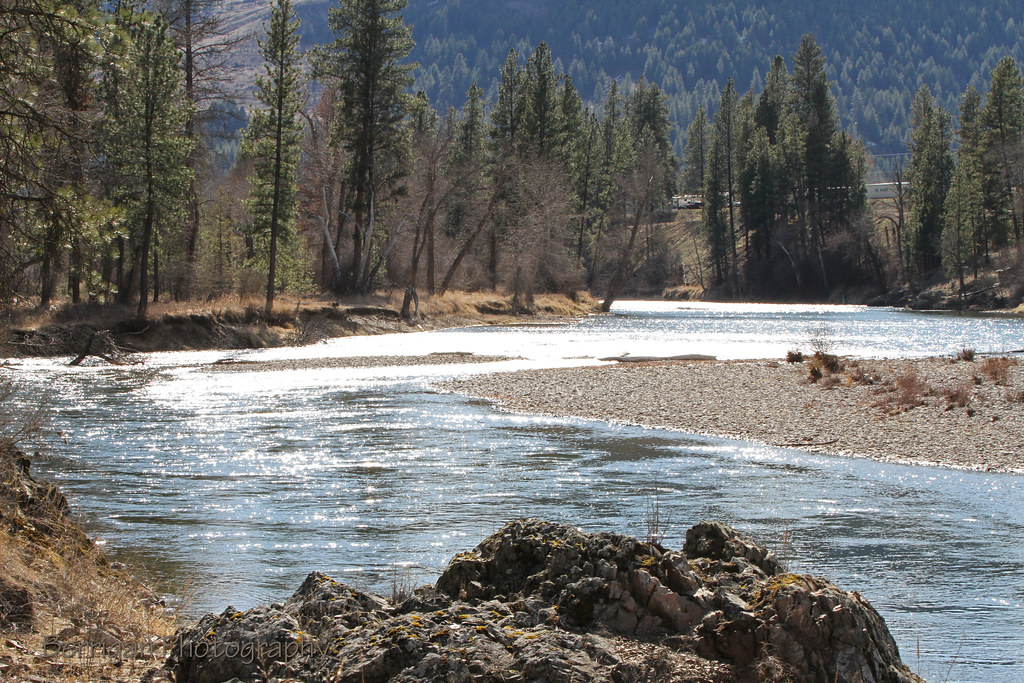 WA_4462_Kettle River Scene from the Ferry Country Rail Tra… Flickr