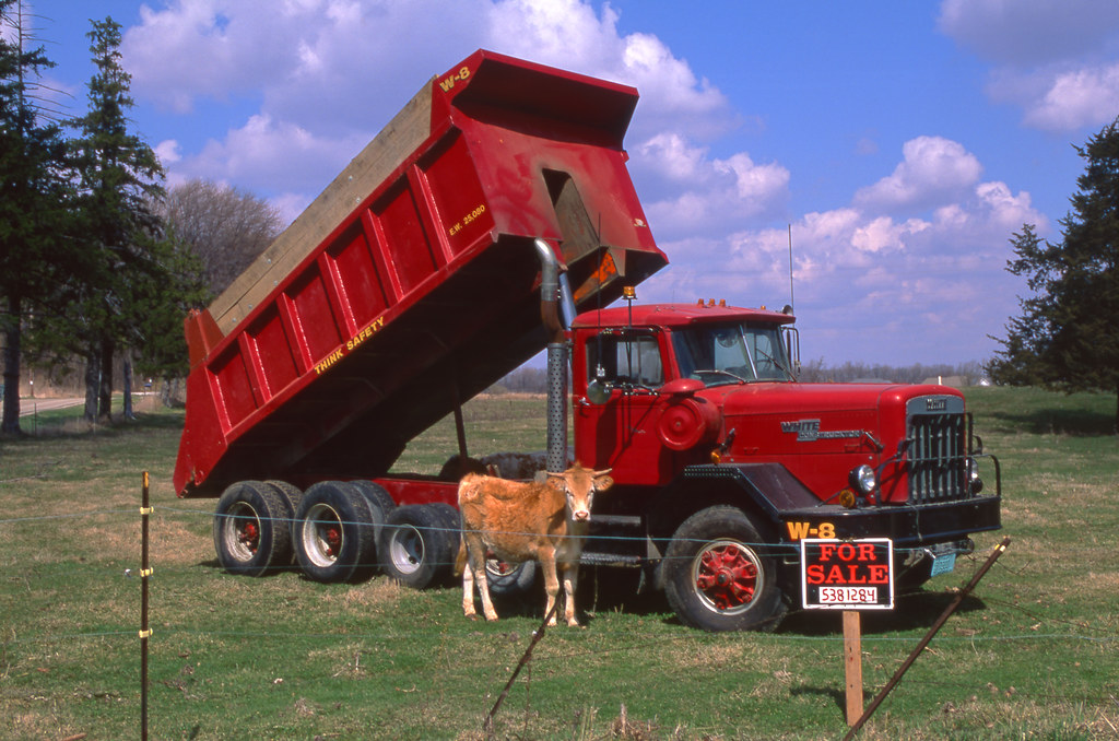 Truck For Sale (Hereford Not Included) Back in March of … Flickr