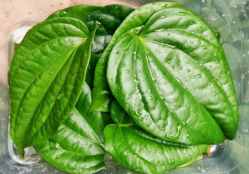 Obat kista Bartholin Pakar Kesehatan Wanita