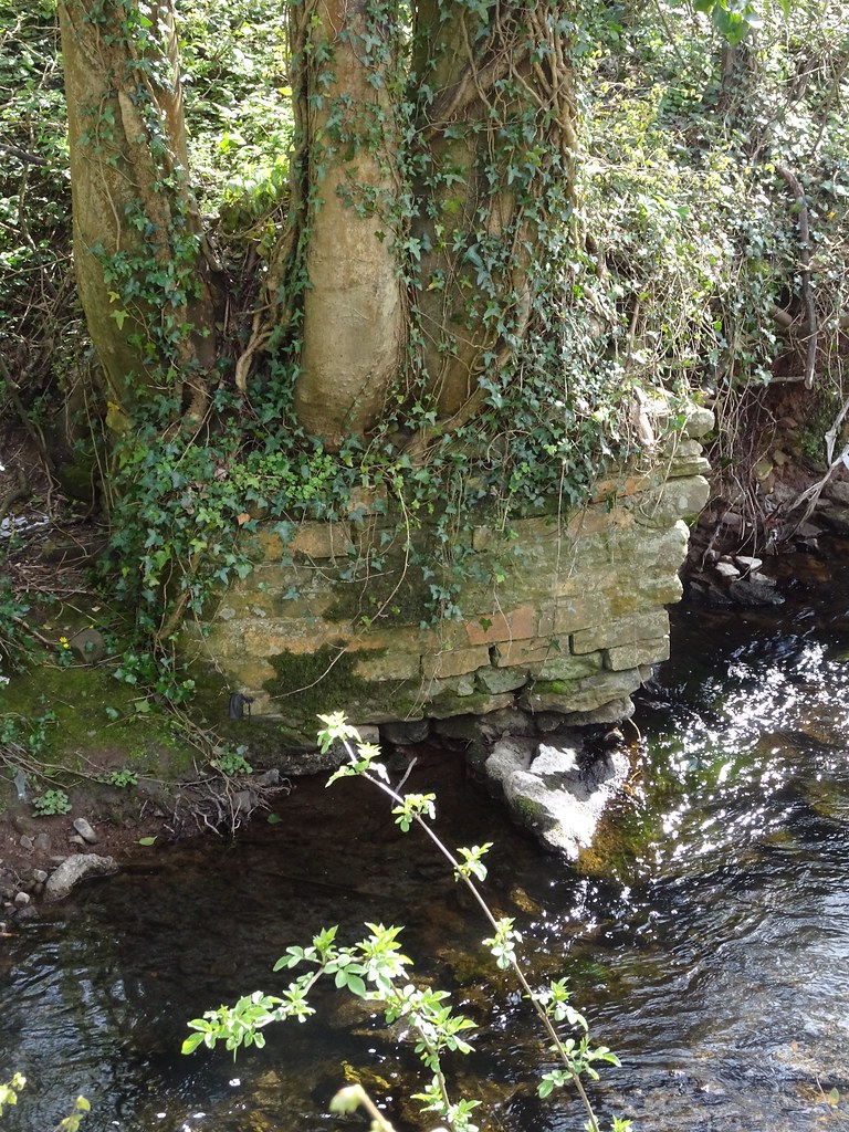 Dowlais Brook, Two Locks Road, Cwmbran 3 April 2020 Flickr
