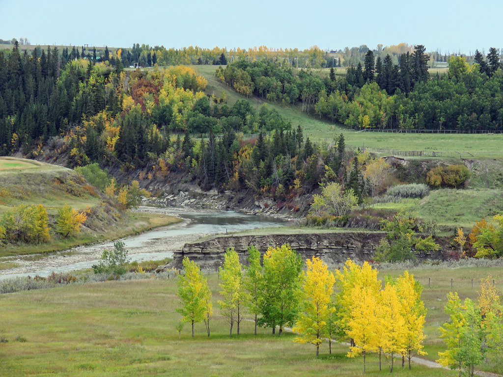 A view from the Saskatoon Farm A few days ago, 30 March 20… Flickr