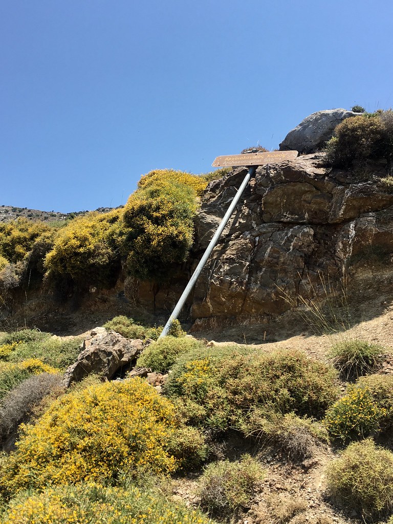 IMG_E4323 Anne Duray Flickr