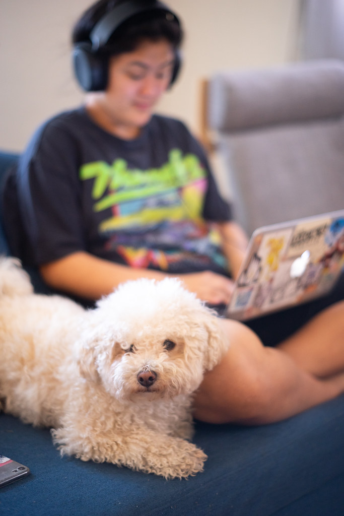 ASI_Work from home_Apr74 Flickr