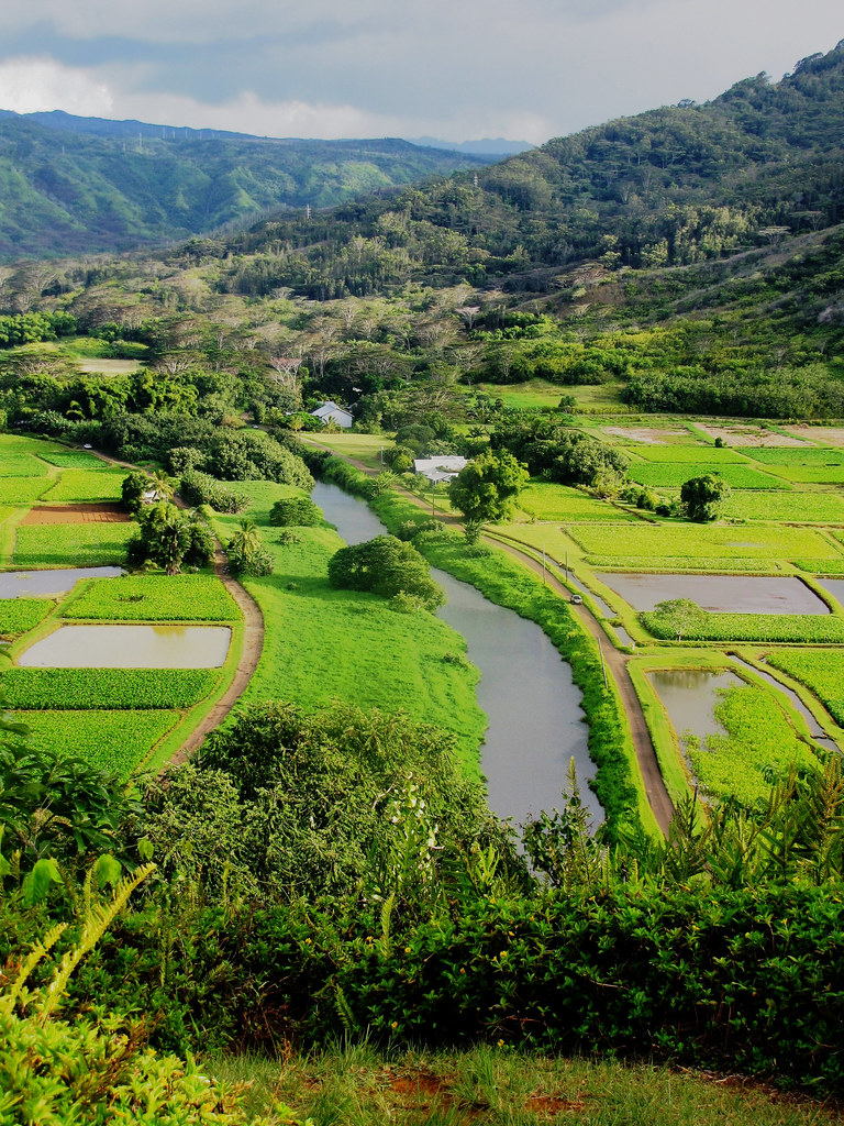 Green Kauai , Hawaii a photo on Flickriver