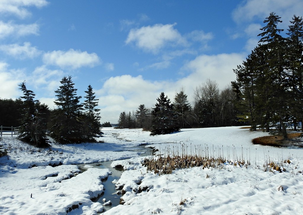 Hodgkins Cove Lamoine, Maine DSCN6516 (2) maryalley904 Flickr