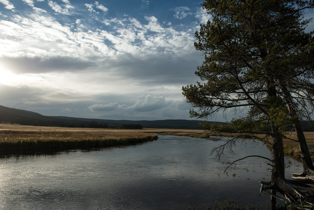 Gibbon Meadows Yellowstone Samuel Raison Flickr