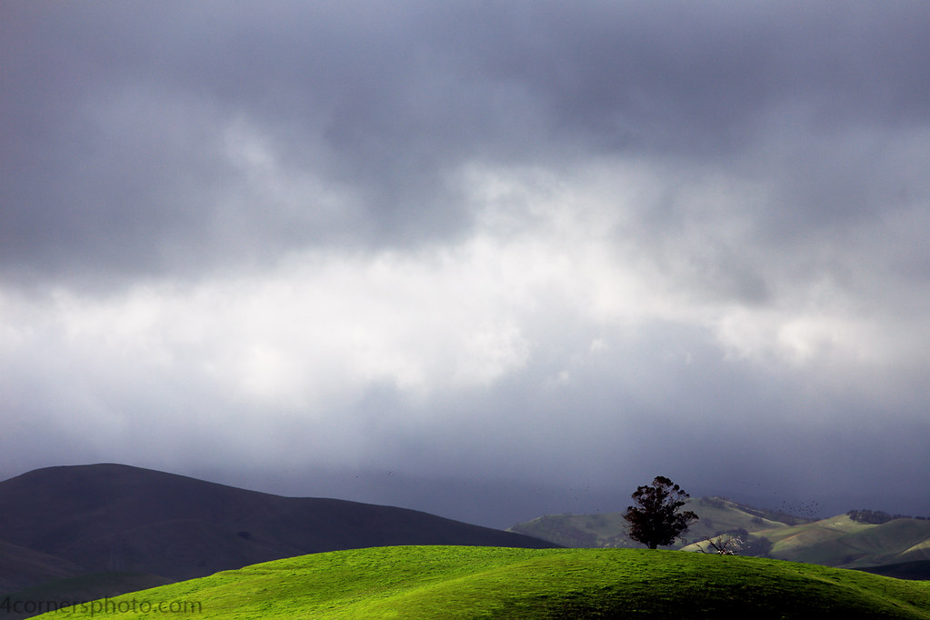 Elevation of Byron Hwy, Byron, CA, USA Topographic Map Altitude Map