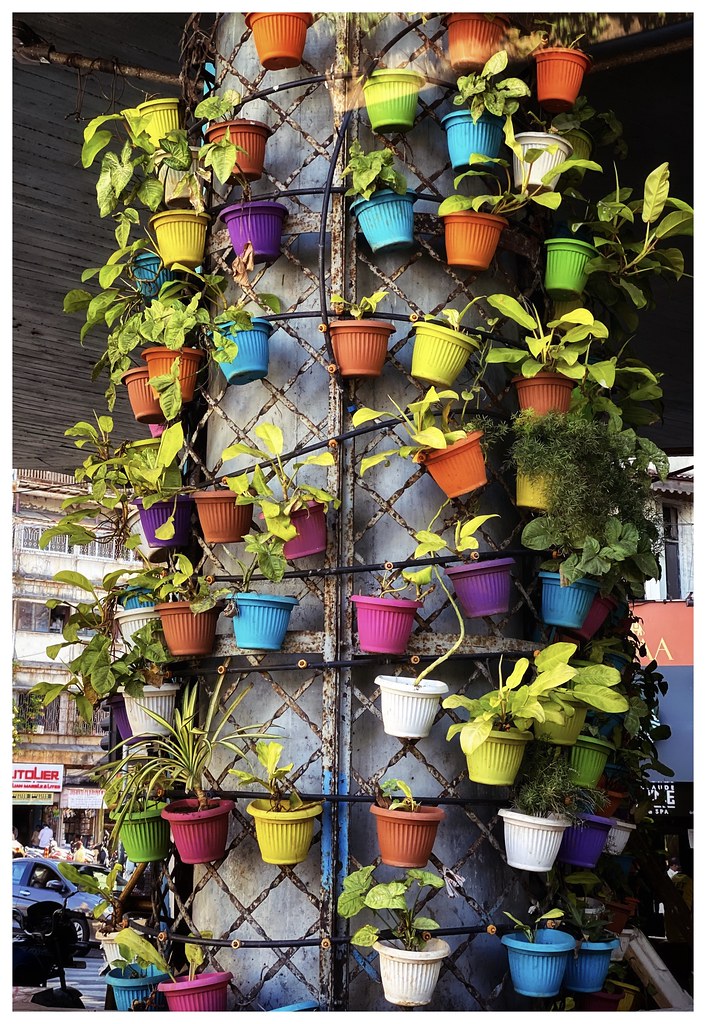 Pots and Plants Mumbai, India aiva. Flickr