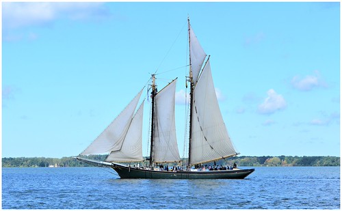 tall ship festival 2023 erie pa Lettie G. Howard Erie, PA Tall Ships Festival 2019 Flickr
