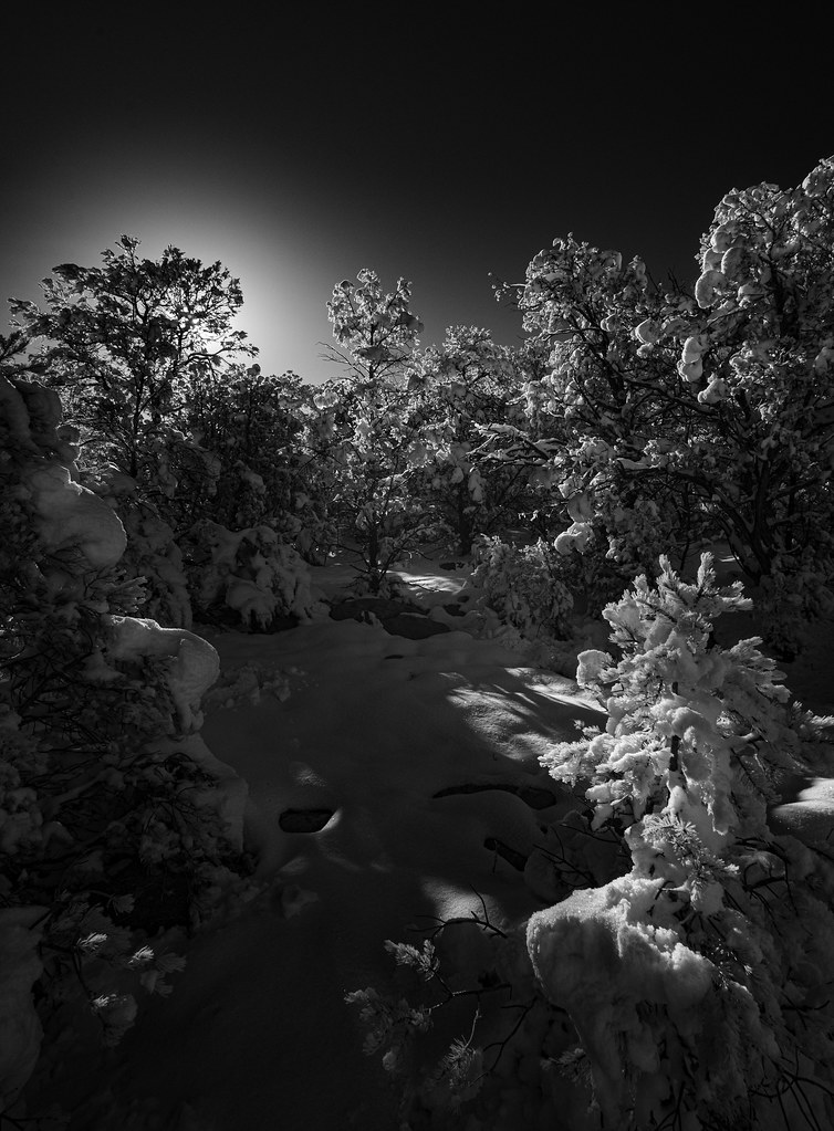 EasterMonday_2 Tijeras, NM Easter Monday Infrared Dustin Huntington