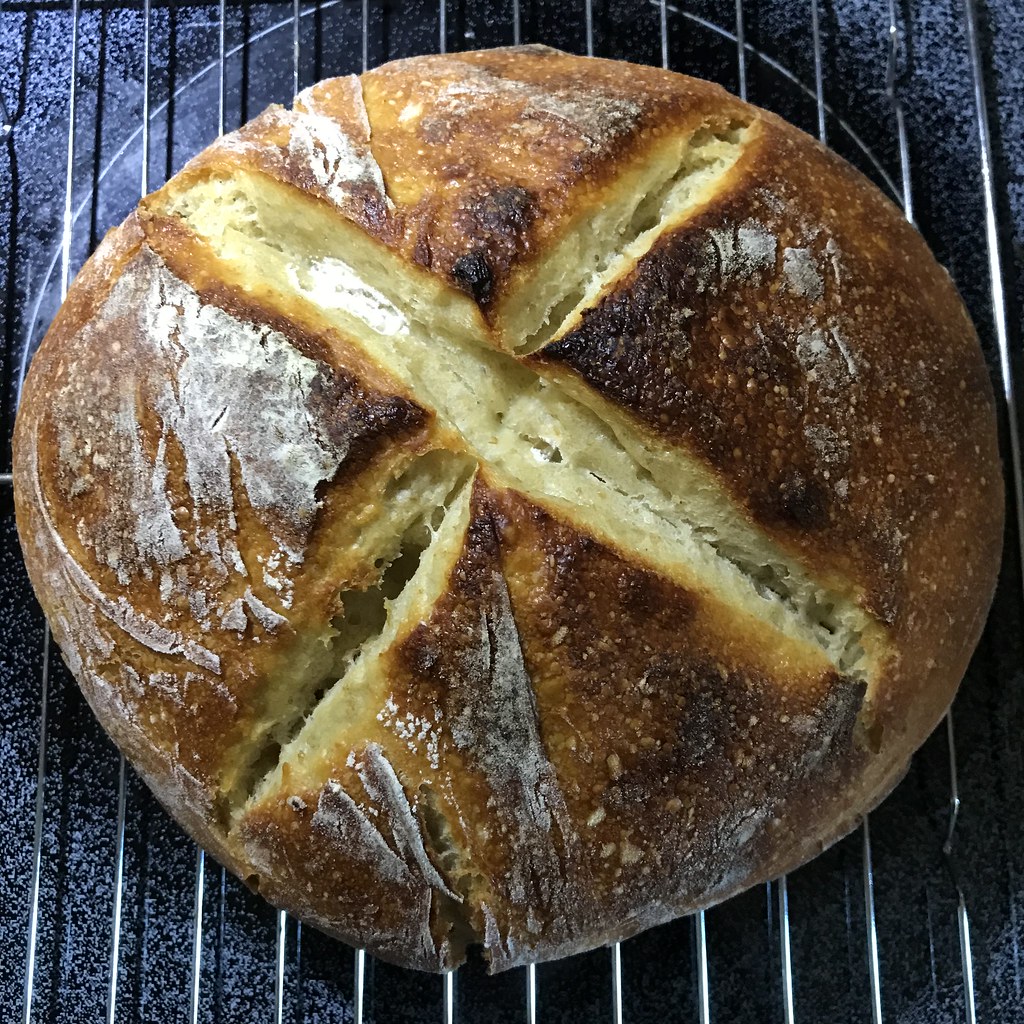 No Knead Sourdough The recipe is from the New York Times