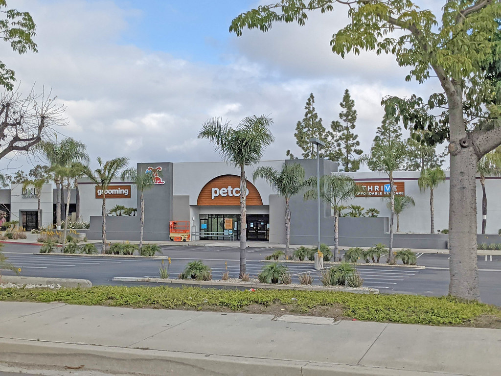 Flickriver Most interesting photos tagged with petco