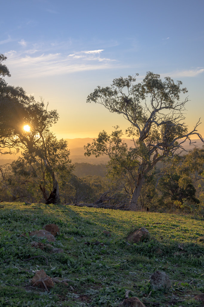 Canberra in isolation Red Hill, Canberra MattExMachina Flickr
