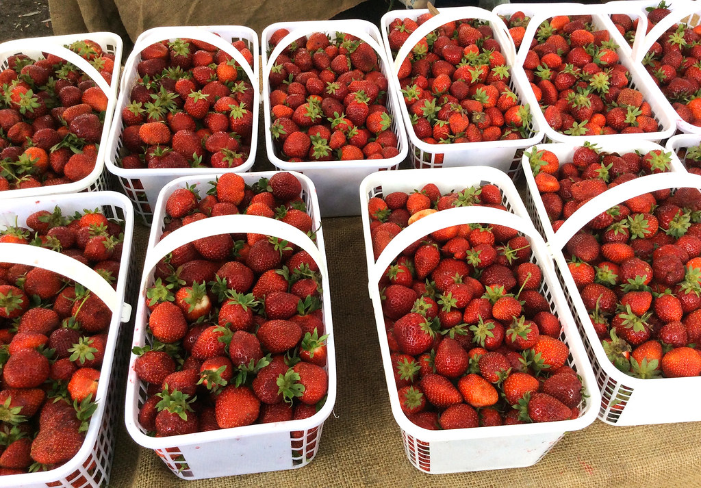 Strawberries at a Farmers Market ACES Bruce Dupree Alabama