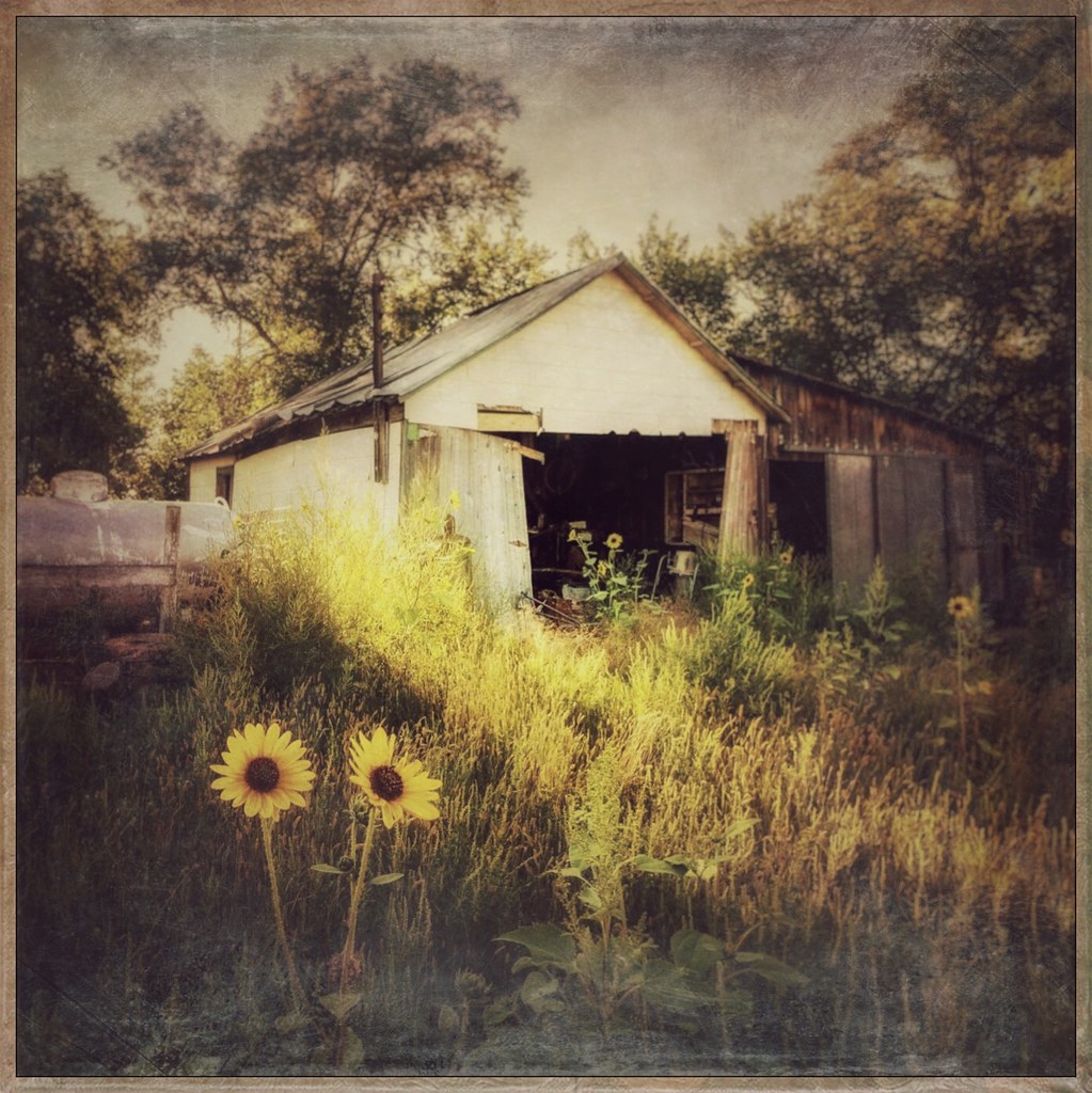 Shed near Hay Springs, Nebraska, 2017. Shed near Hay Sprin… Flickr