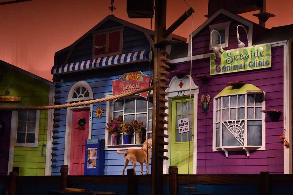 Pets Ahoy SeaWorld Orlando 2019 Flickr